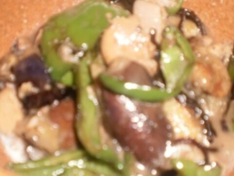 茄子とピーマンの鶏肉炒め